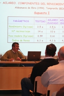 formacion.jpg formacion.jpg