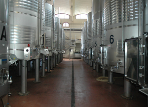 bodega-ampliada.jpg bodega-ampliada.jpg
