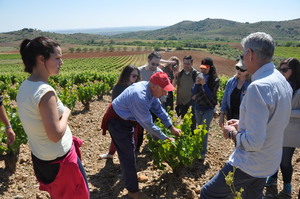 Visita a un viñedo Visita a un viñedo