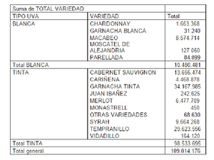 03 VENDIMIA2015 03 VENDIMIA2015