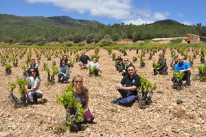 Periodistas y sumilleres durante una de sus visitas a los viñedos de la DOP Cariñena Periodistas y sumilleres durante una de sus visitas a los viñedos de la DOP Cariñena