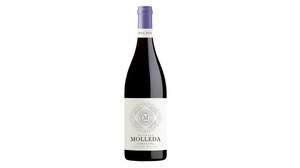 botella botella