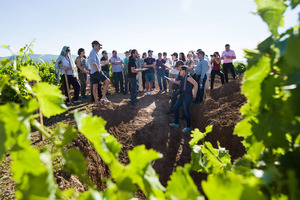 02 Los expertos del Congreso Internacional del Terroir en las calicatas de la DOP Cariñena (4) 02 Los expertos del Congreso Internacional del Terroir en las calicatas de la DOP Cariñena (4)