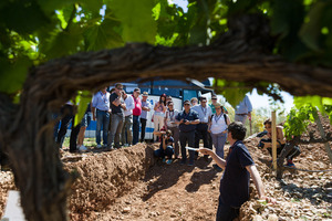 04 Los expertos del Congreso Internacional del Terroir en las calicatas de la DOP Cariñena (2) 04 Los expertos del Congreso Internacional del Terroir en las calicatas de la DOP Cariñena (2)