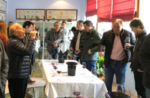 Cata de vinos de la DOP Cariñena elaborados en Montpellier Cata de vinos de la DOP Cariñena elaborados en Montpellier