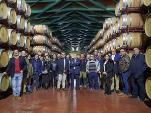 visita visita