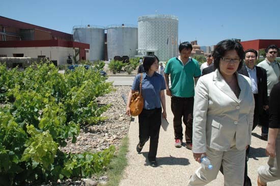 Una delegación comercial japonesa ha conocido dos bodegas y varias zonas de viñedos de la denominación de origen Cariñena