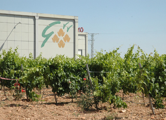 Grandes vinos y viñedos acoge la celebración del ‘encuentro cámara de comercio de la ue 2008