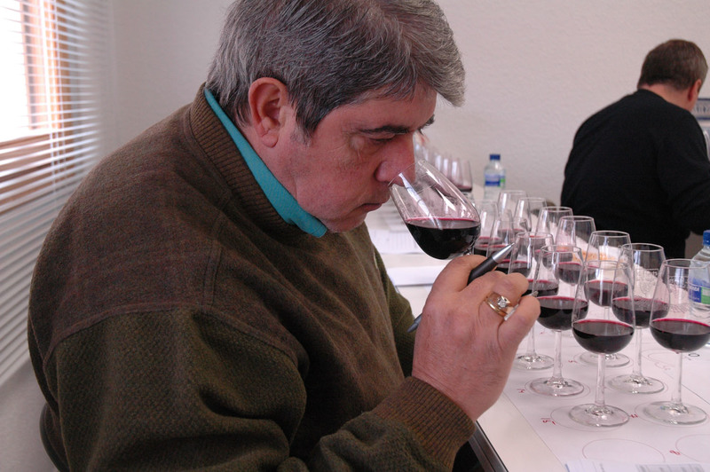 Curso de iniciación a la cata de vinos