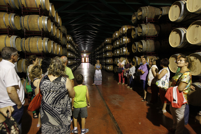 Más de seis mil personas han participado en la ruta de verano del vino de las piedras