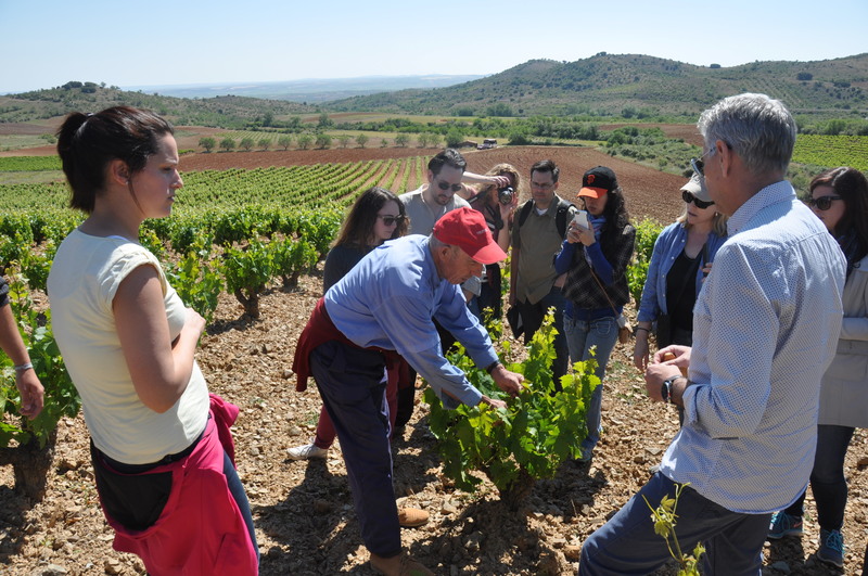 “Los vinos de las piedras pueden tener un hueco muy importante en el mercado norteamericano”