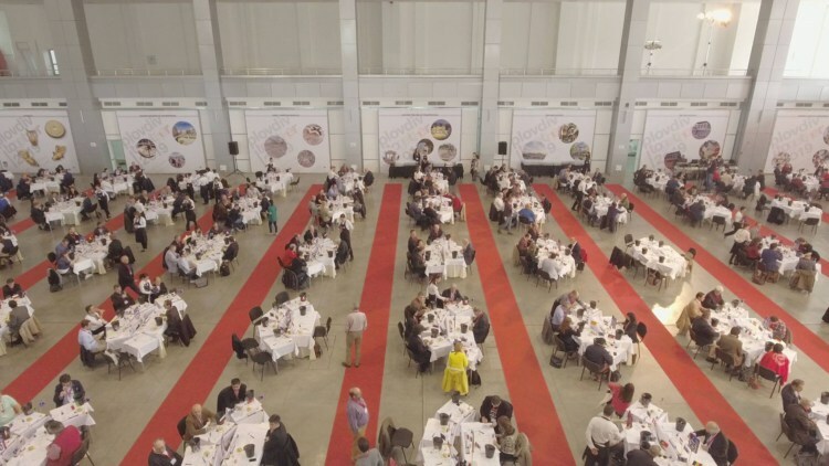 El prestigioso concurso mundial de bruselas otorga 11 medallas a los vinos de las piedras