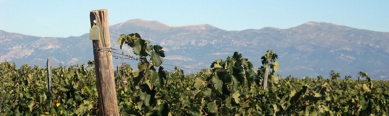 Grandes Vinos adquiere Bodegas Sierra de Guara