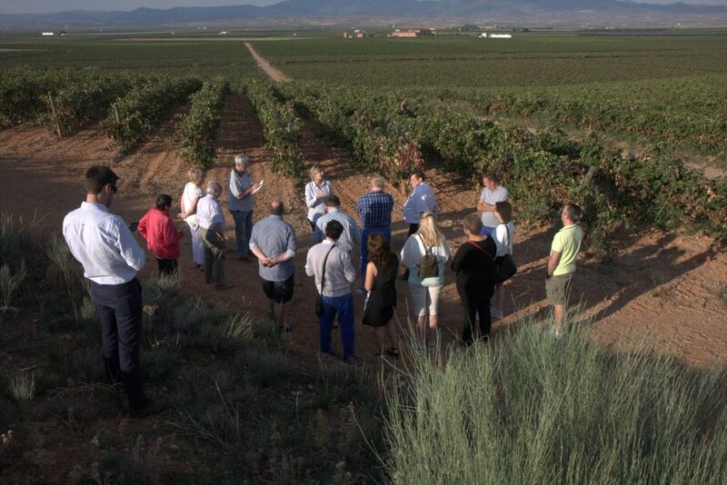 Bodegas de la D.O.P. Cariñena viajan esta semana a Países Bajos y Bélgica para cerrar acuerdos