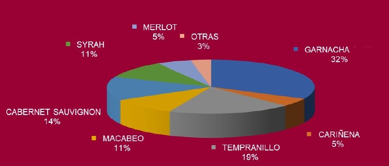Variedades cultivadas en la DOP Carinena