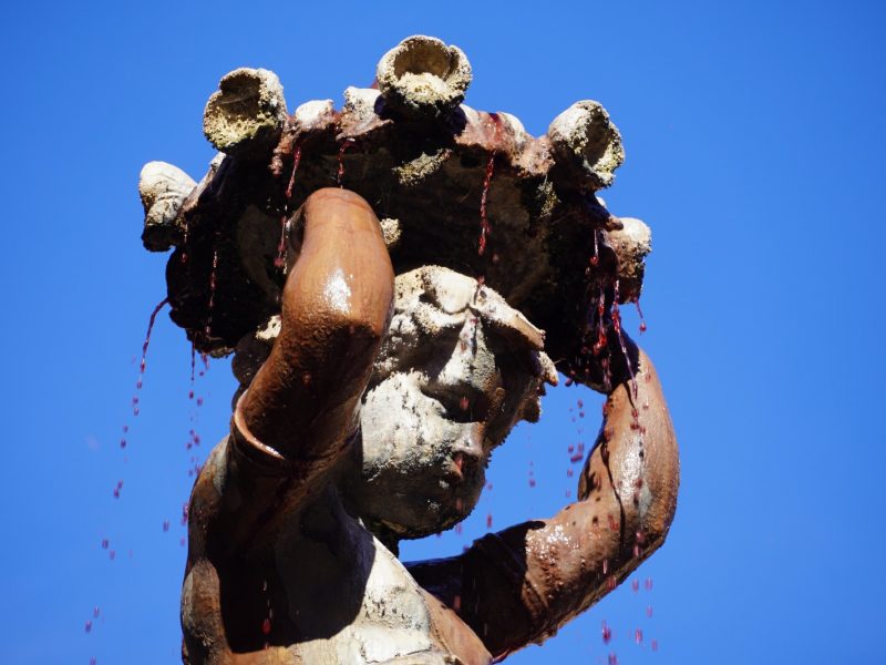 El vino ha vuelto a manar de la Fuente de la Mora