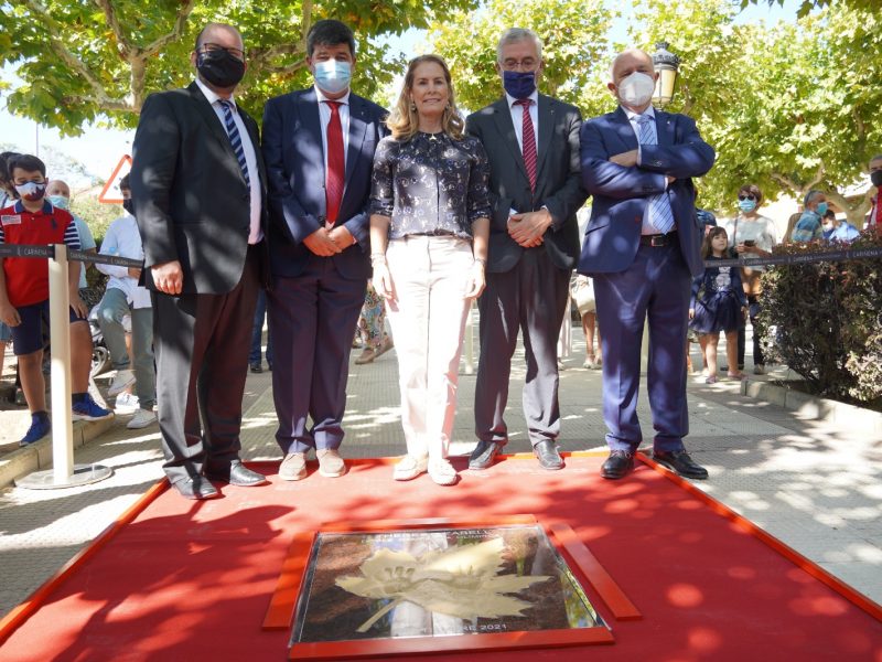 Sergio Ortiz Antonio Ubide Theresa Zabell Joaquin Olona y Francisco Compes ante la nueva placa