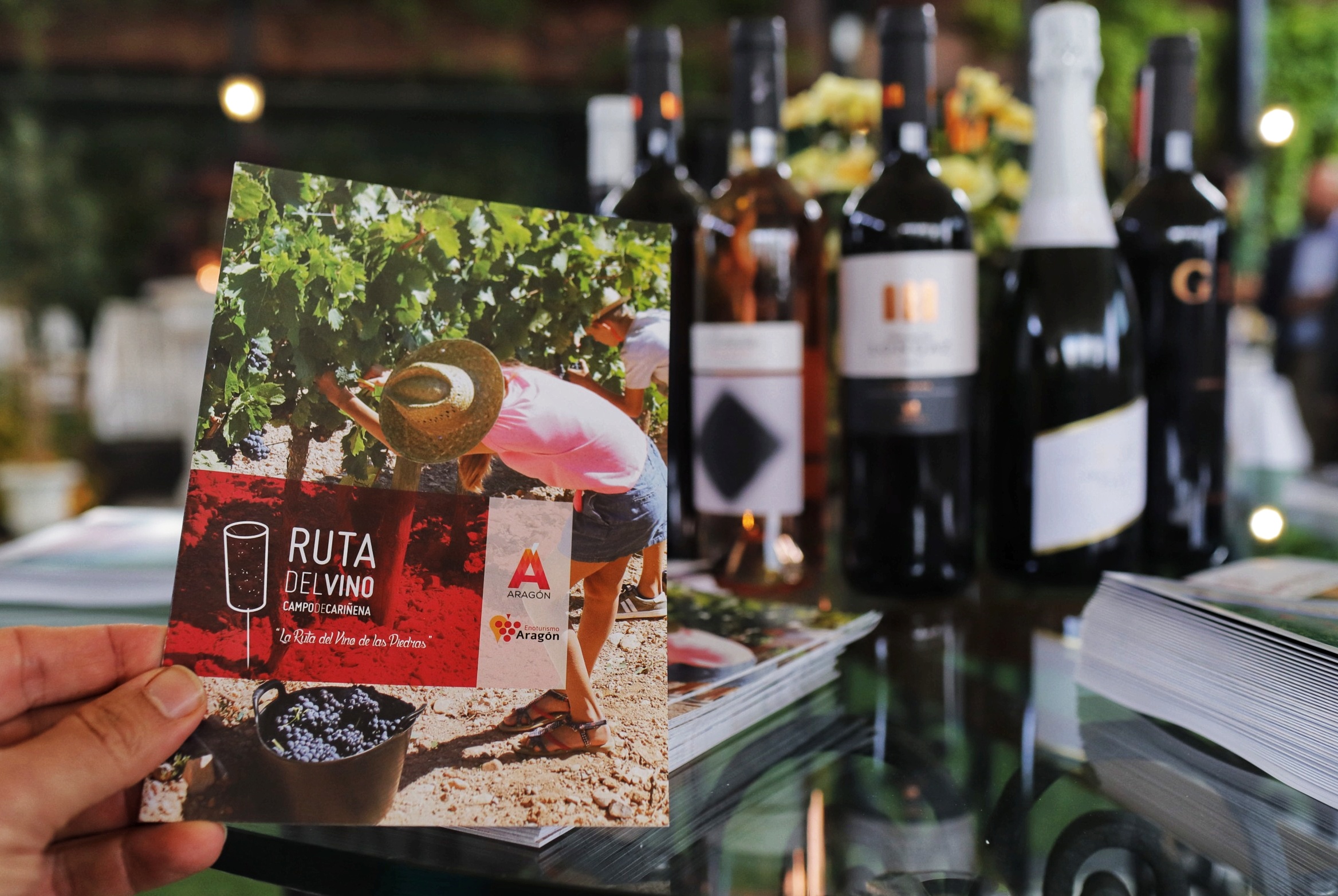 Folleto Ruta del Vino