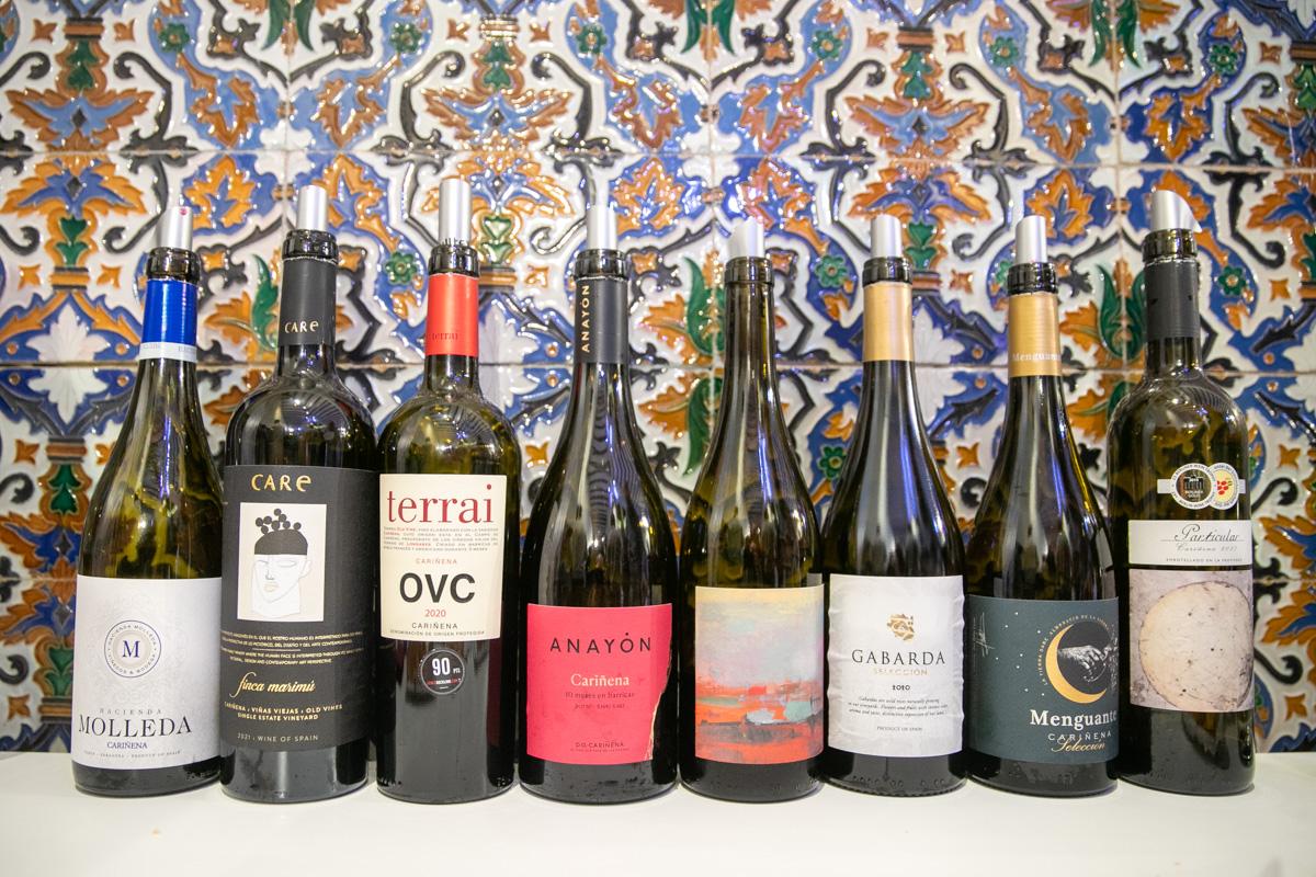 La D.O. Cariñena muestra el gran presente y futuro de la uva autóctona que lleva por el mundo su nombre