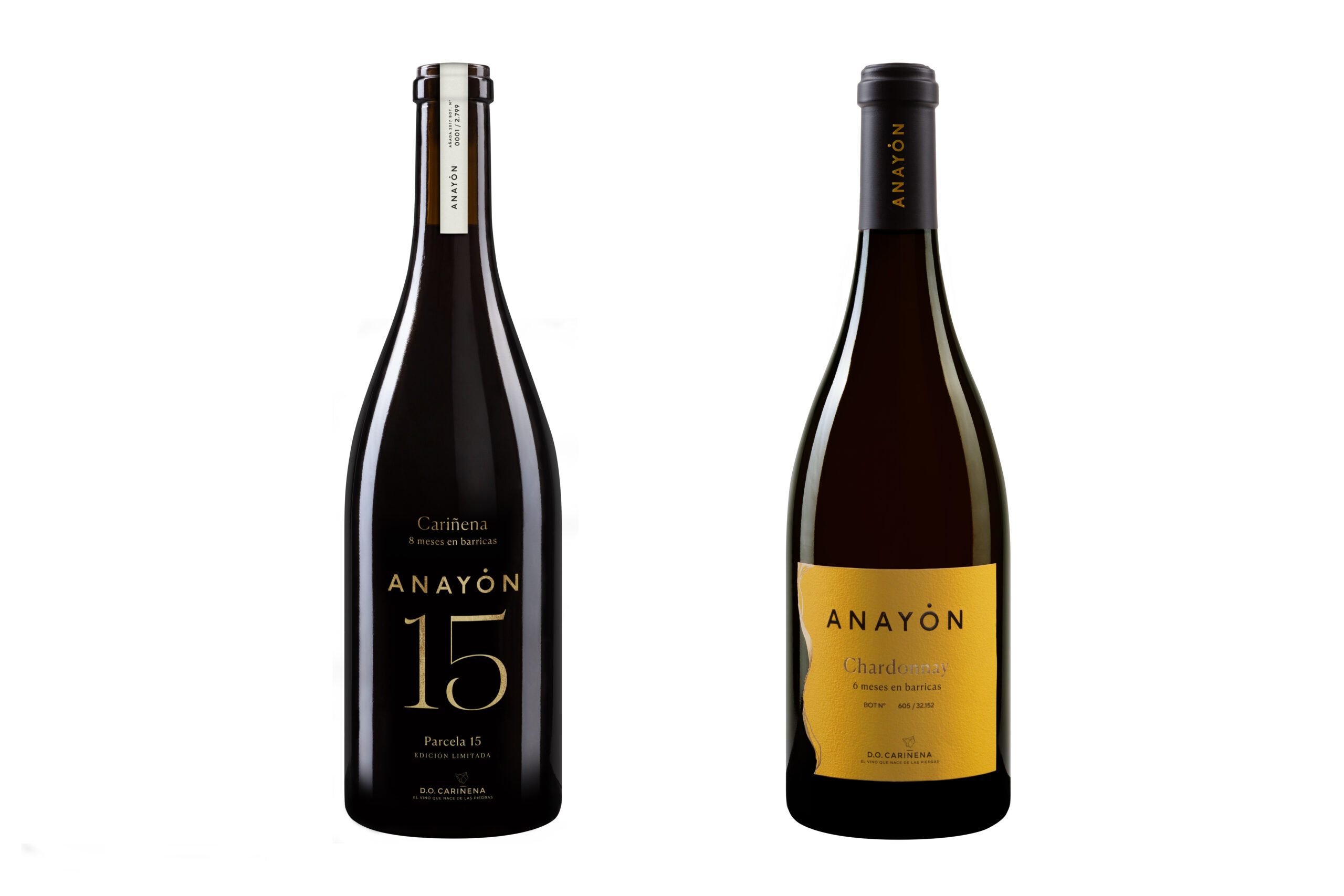 Excelentes puntuaciones para Anayón, de Grandes Vinos, que lidera los vinos aragoneses en la guía Gourmets