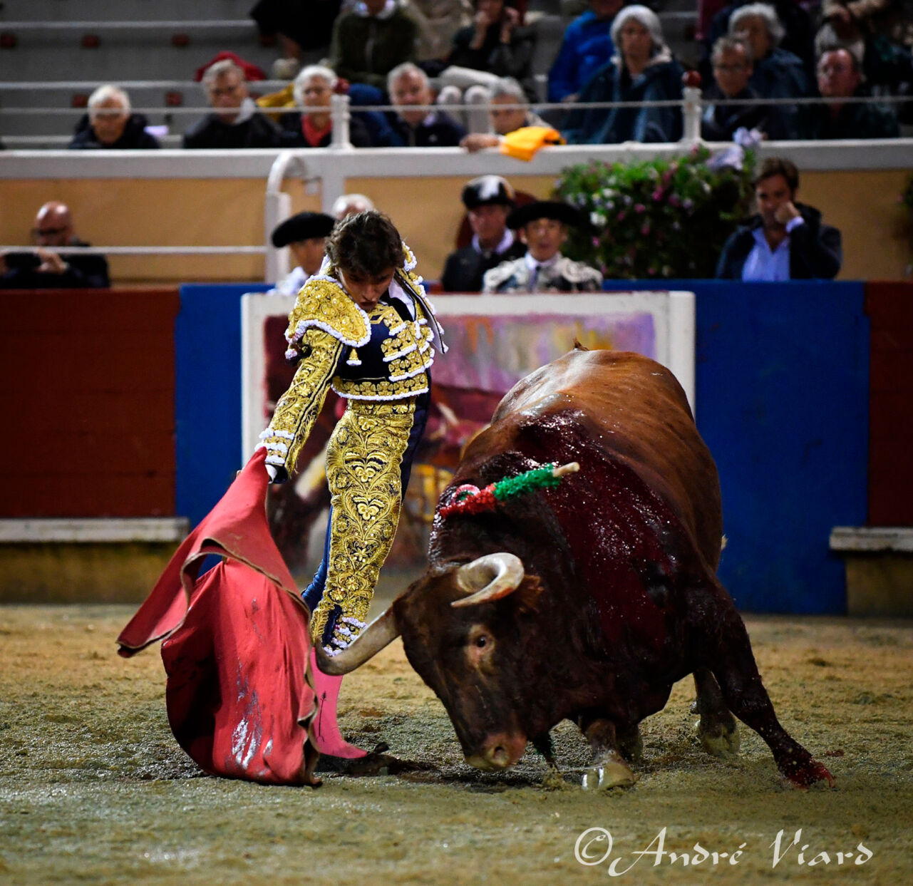 El torero Jorge Isiegas 1