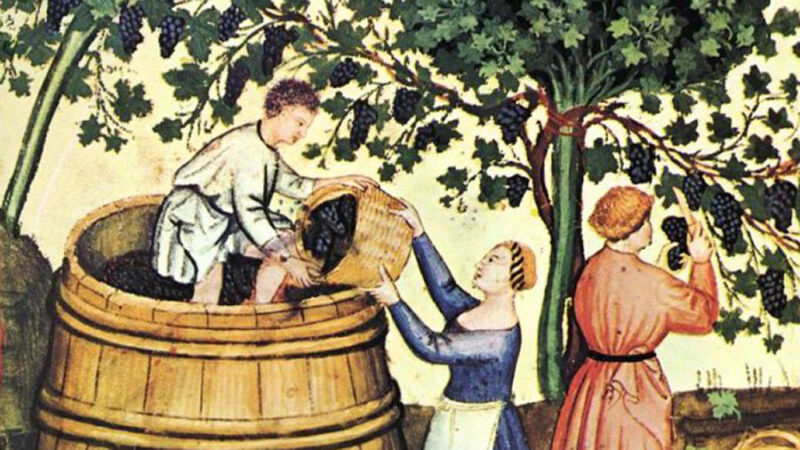 Ilustracion del libro Tacuinum sanitatis un manual medieval sobre salud 1