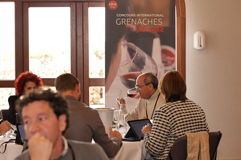 Cata del XIII concurso Garnachas del Mundo en Carinena 4