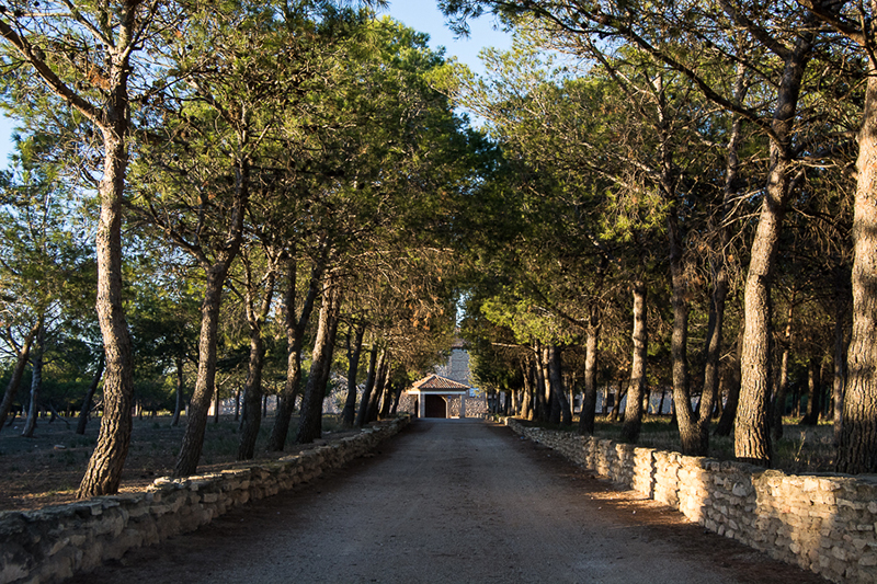 Virgen de Lagunas de Carinena 900x600 138