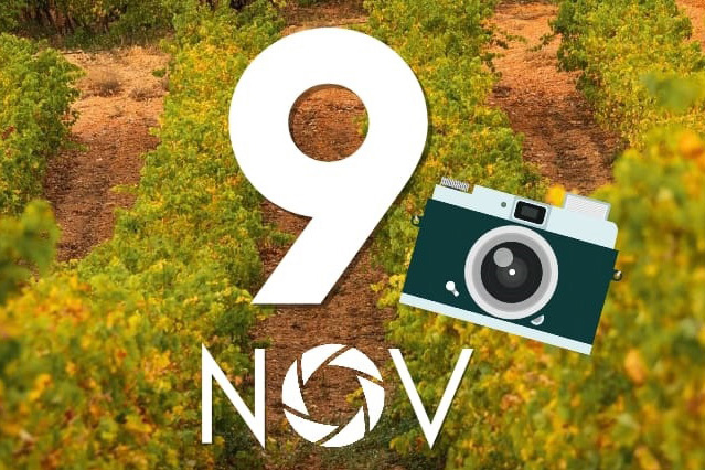 El I Rally Fotográfico “Cariñena se revela” premiará las mejores imágenes sobre la cultura del vino