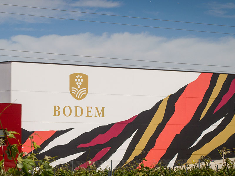bodem (1)