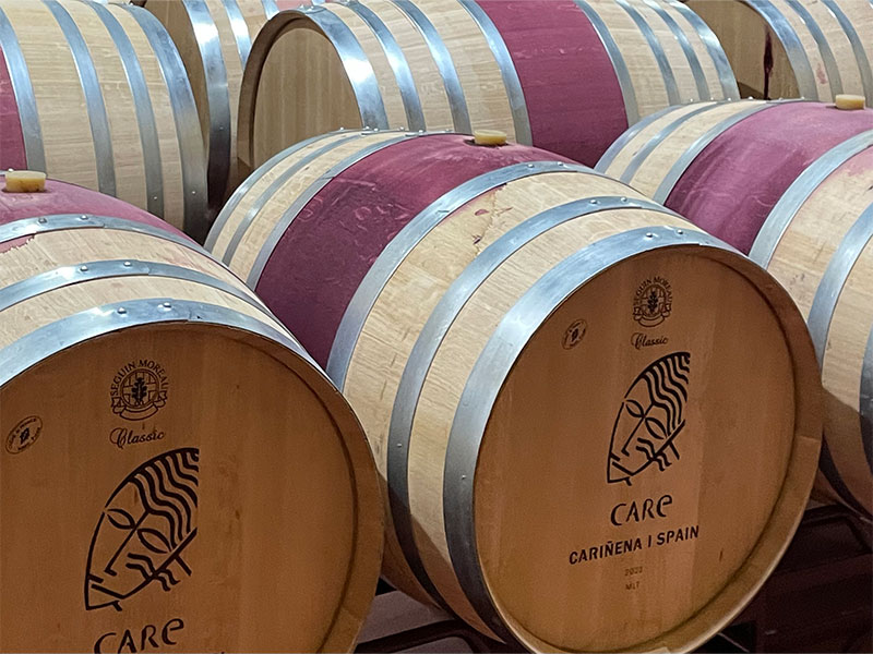 care-bodegas (2)