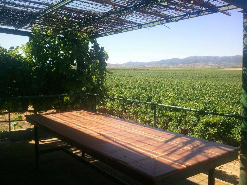 care-bodegas (4)