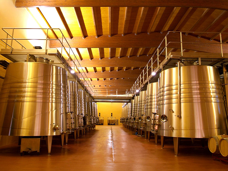 care-bodegas (7)