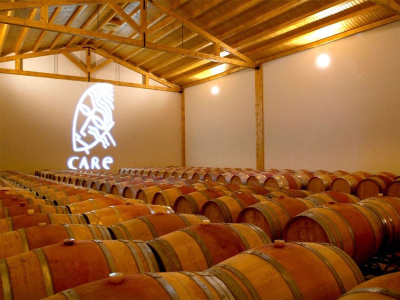 care-bodegas (8)