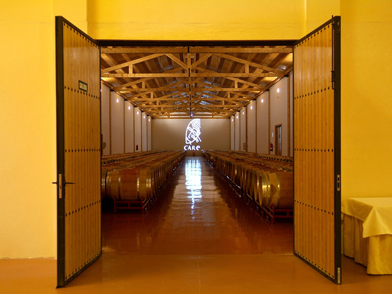 care-bodegas (9)