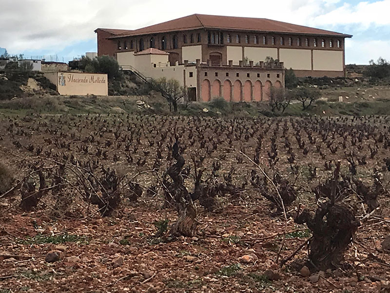 hacienda (4)