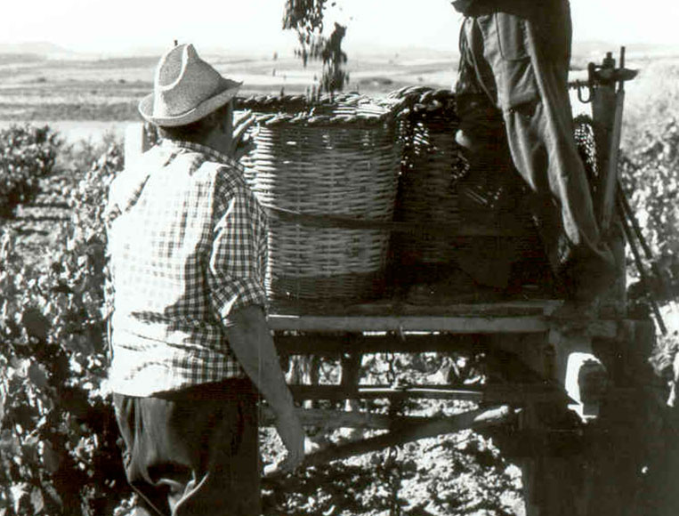 historia-carinena (4)