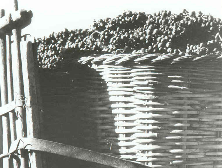 historia-carinena (7)