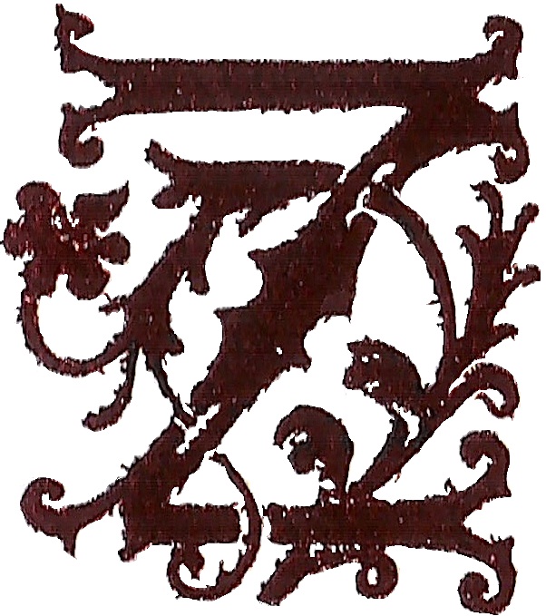 Roberto Zazurca