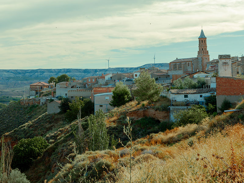 mezalocha-2