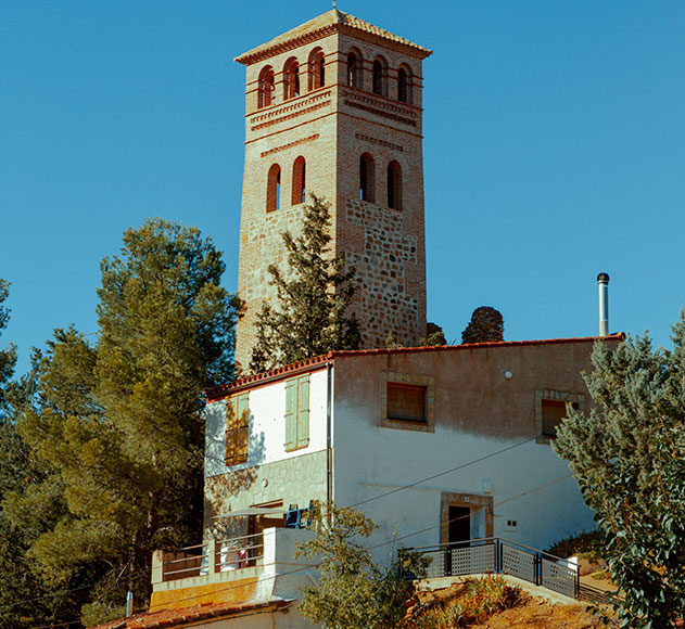 ruta-de-vino-carinena (1)