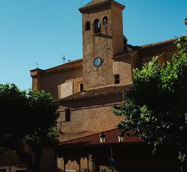ruta-de-vino-carinena (12)