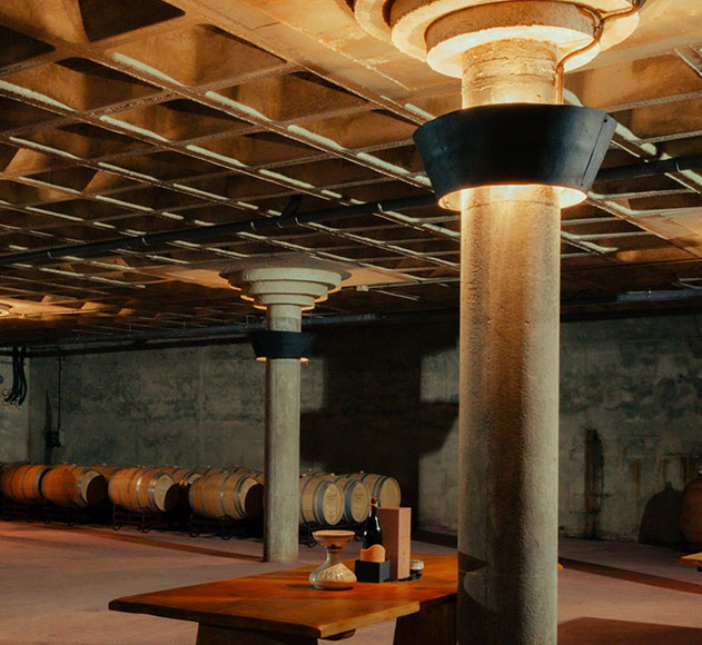 ruta-de-vino-carinena (18)