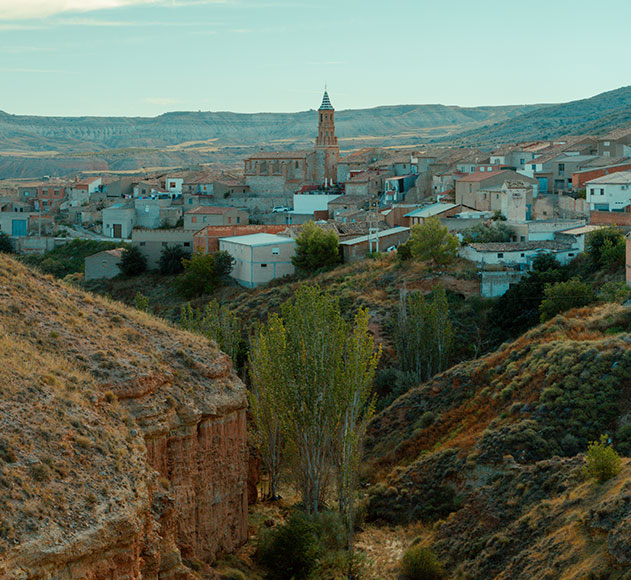 ruta-de-vino-carinena (2)