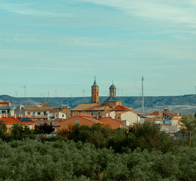 ruta-de-vino-carinena (23)