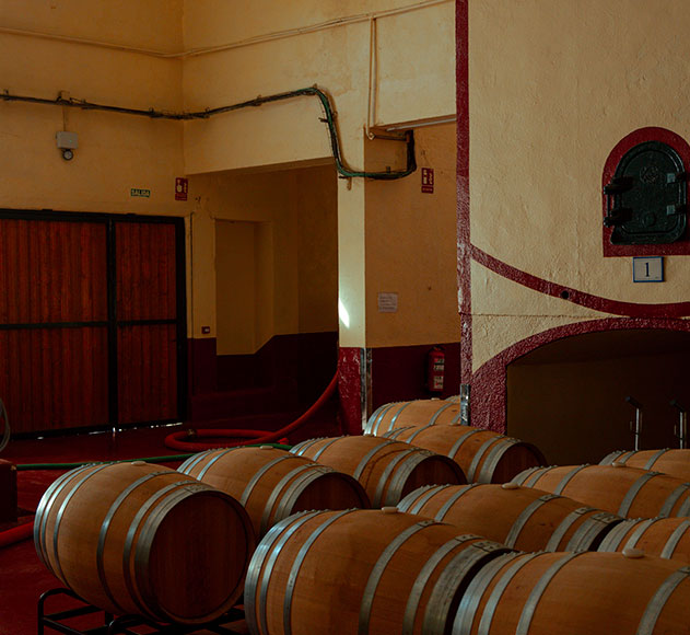 ruta-de-vino-carinena (26)