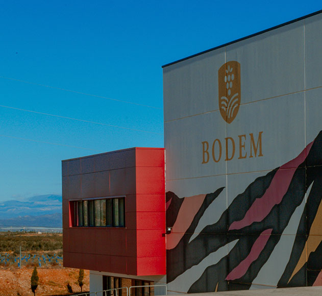 ruta-de-vino-carinena (28)