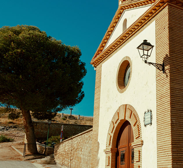 ruta-de-vino-carinena (38)