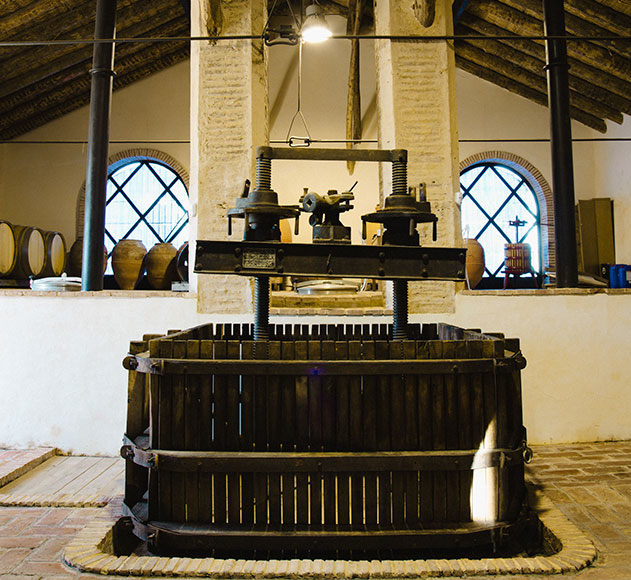 ruta-de-vino-carinena (4)