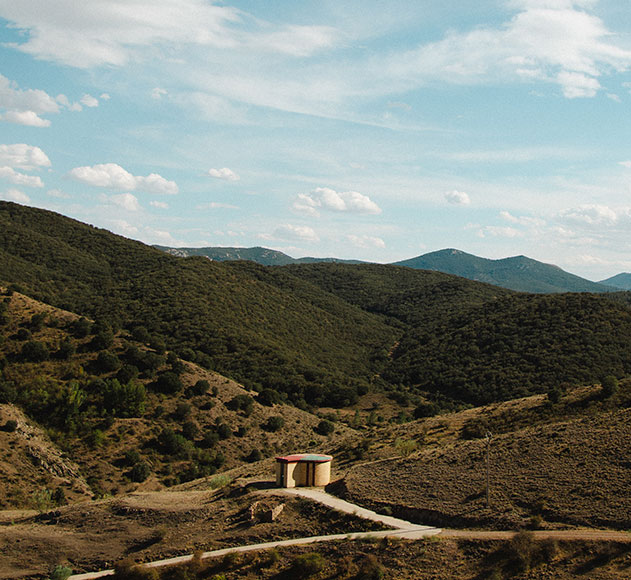 ruta-de-vino-carinena (7)